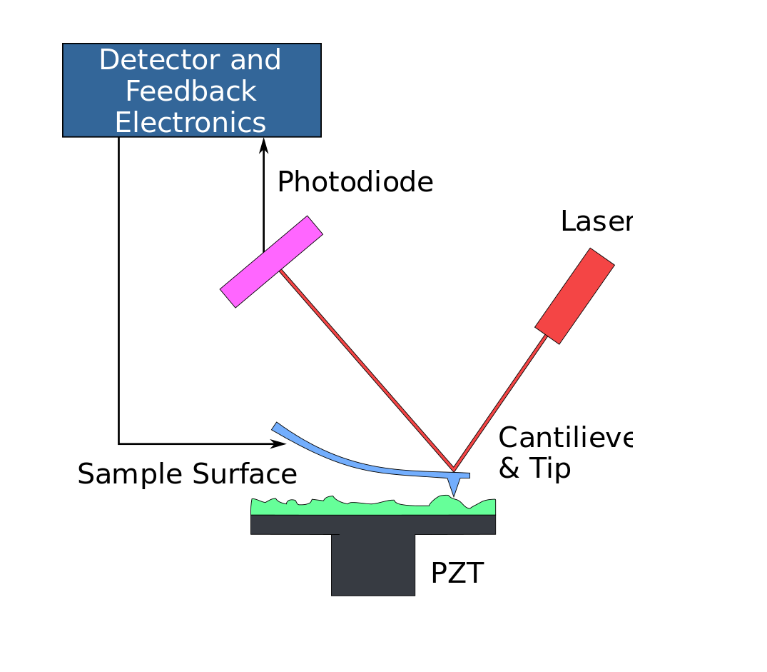 atomic_force_microscope_block_diagram.svg_