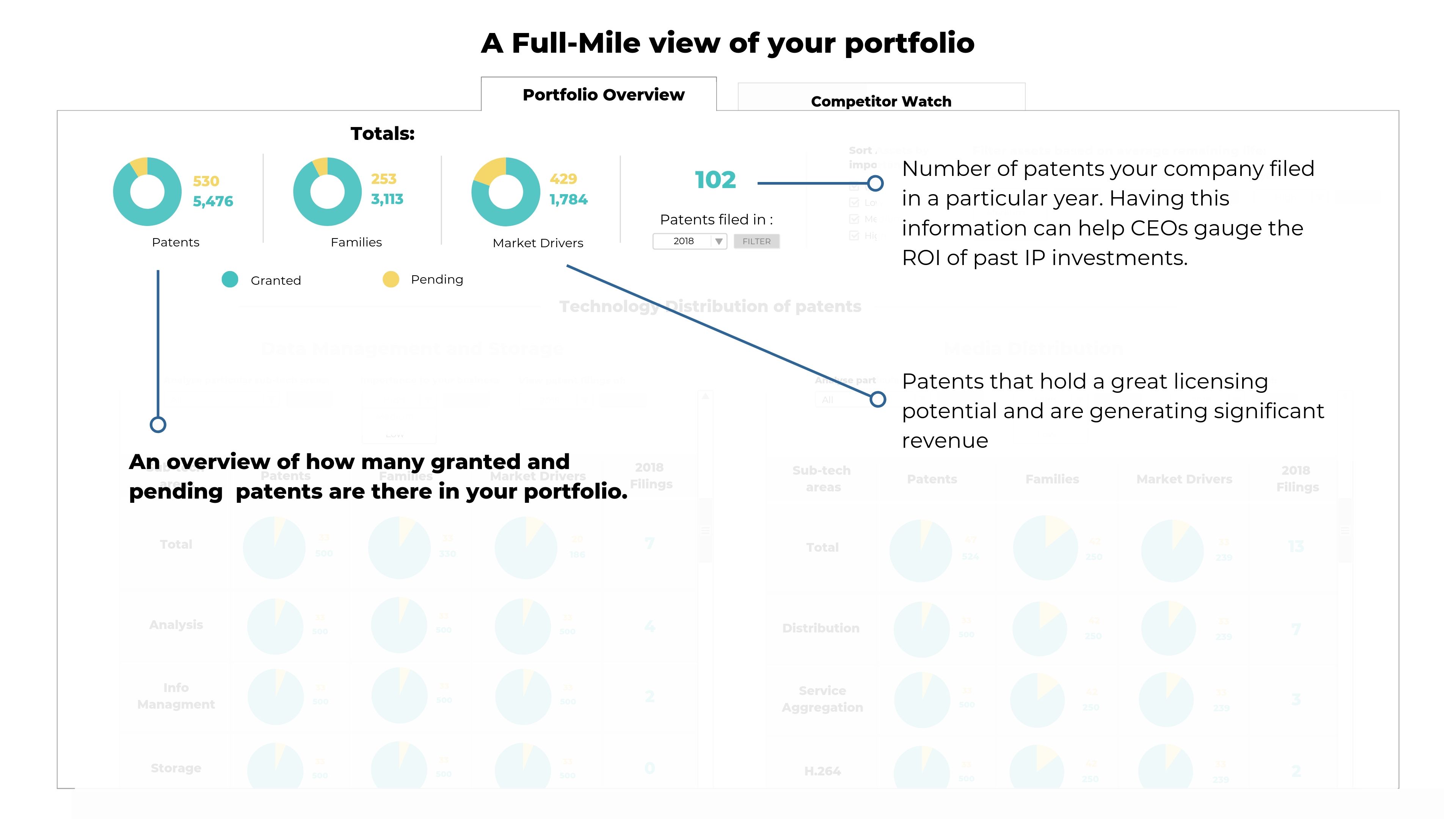 Analysing number of patents and applications in your portfolio