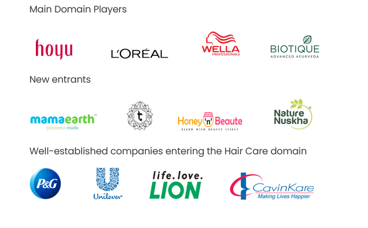 Companies researching haircare industry trends