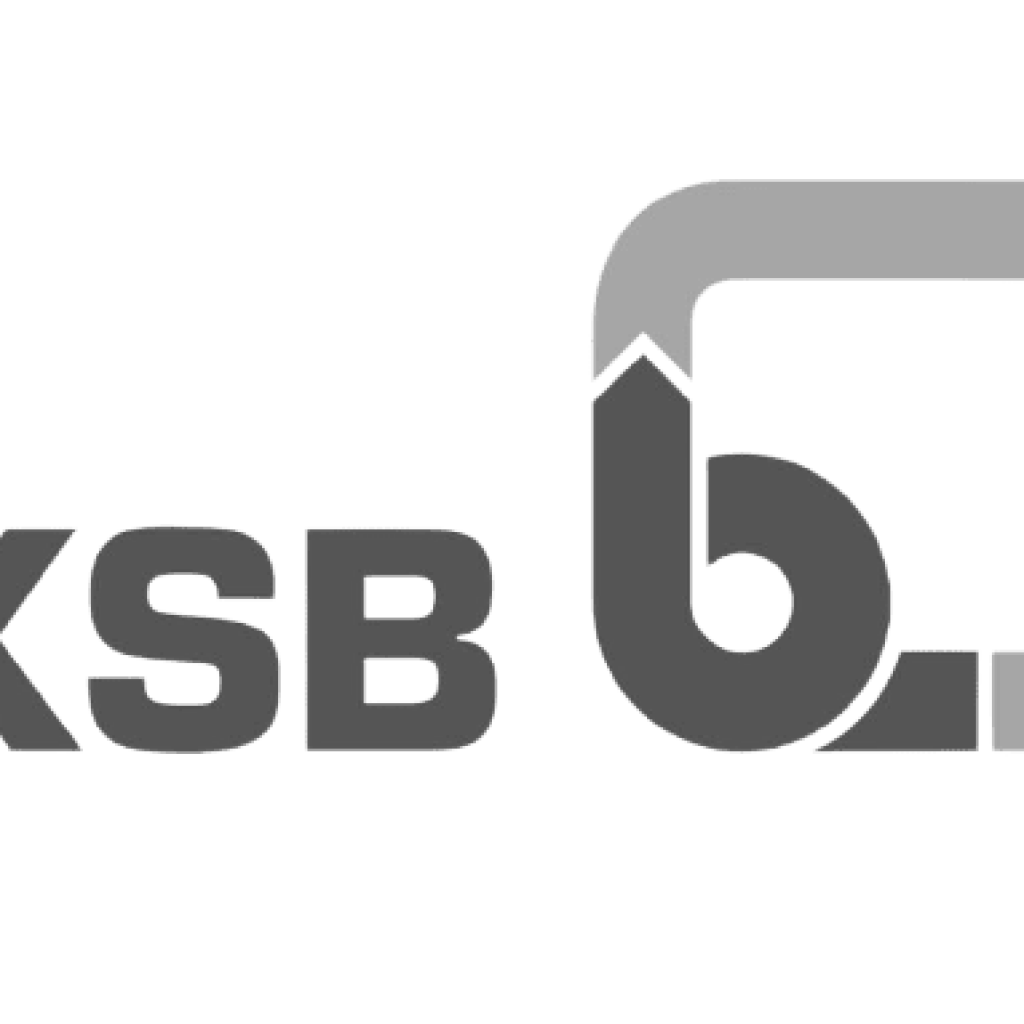 Нпц ксб. KSB. KSB Music группа. Логотип KSB без фона. KSB лого стекла