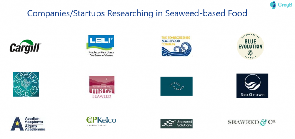 Companies and startups researching seaweed-based food