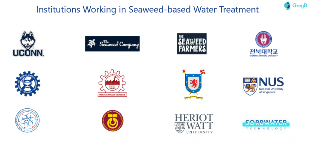 institutions working in seaweed-based water treatment