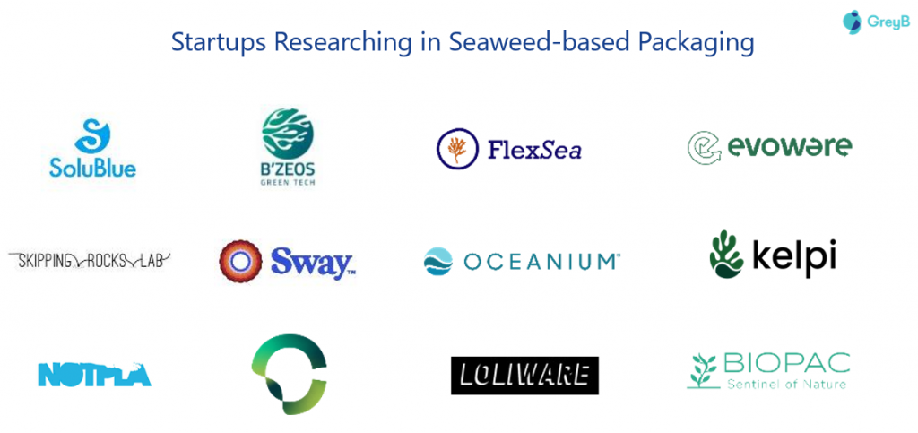 startups researching seaweed-based packaging
