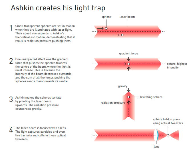Optics Photonics News Optical Tweezers Enable Fast Accurate Cell
