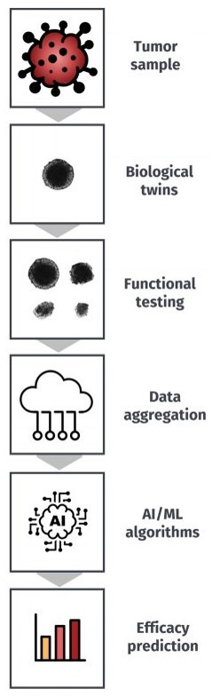 3D Twinning the tumor and using ML for future diagnosis