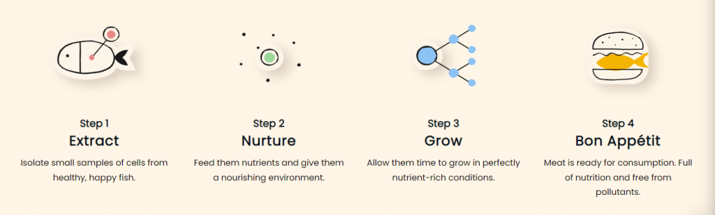 avant-cell-cultivation-process