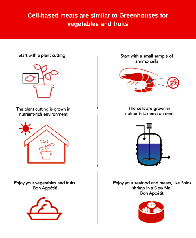 Cultivated Meats And Seafood Making Process