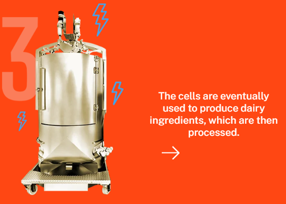 lab produced dairy