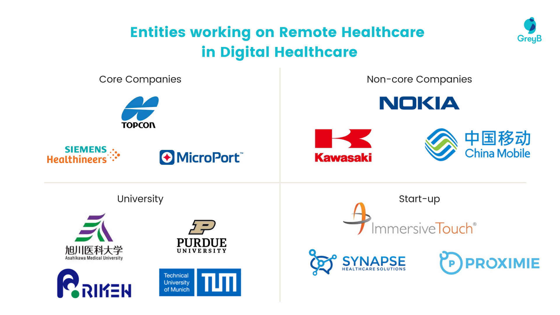 Entities working on Remote Healthcare in Digital Healthcare