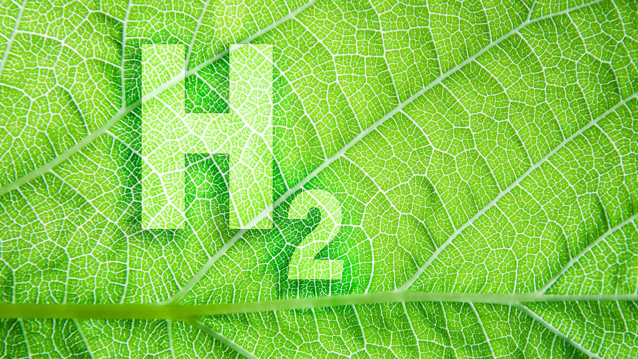 green hydrogen