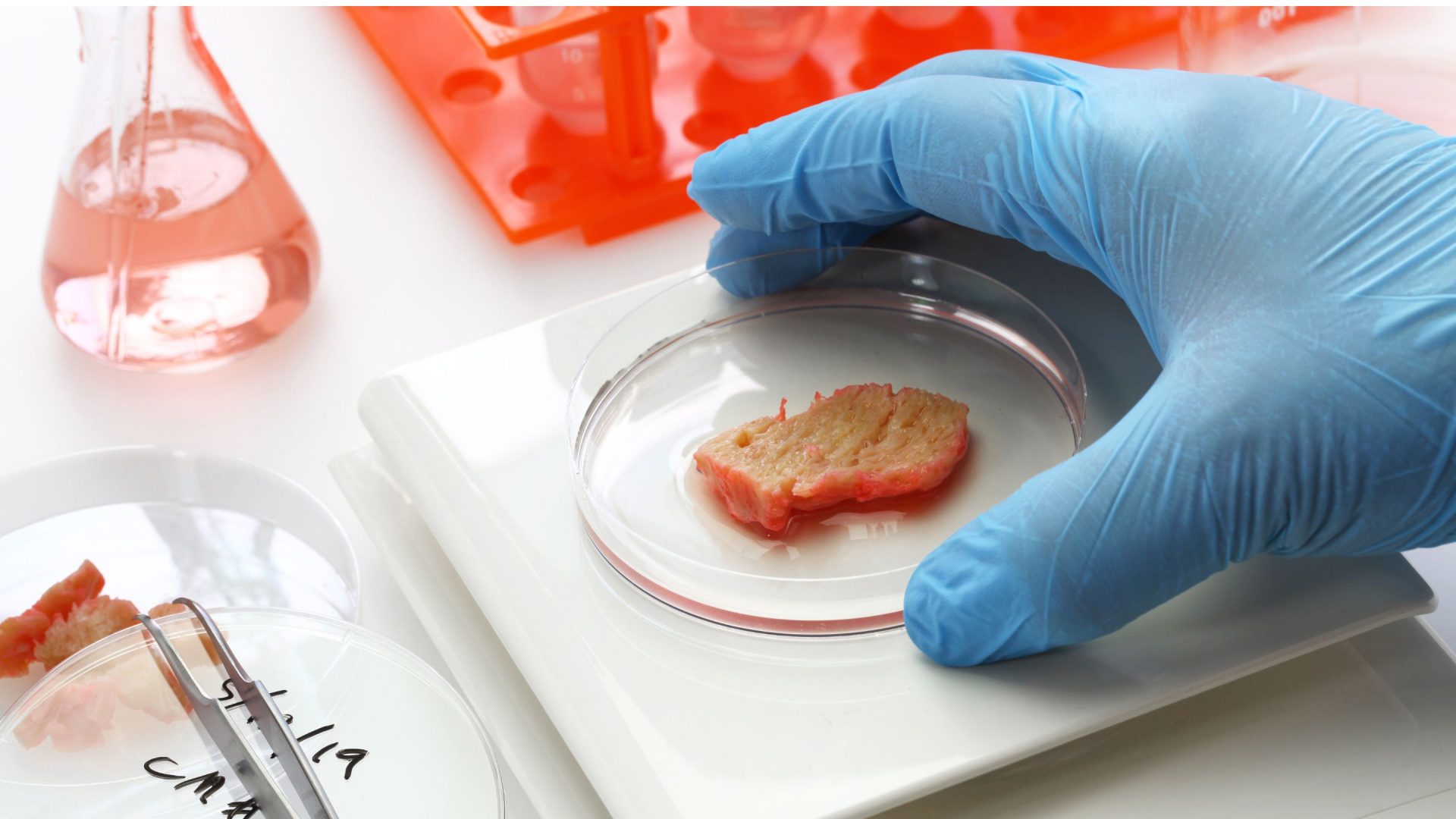 GreyB-innovation-trends-2023-lab-grown-meat