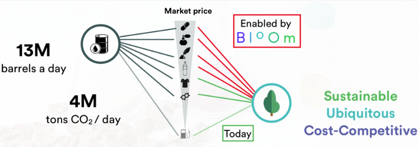 Bloom-Biorenewables