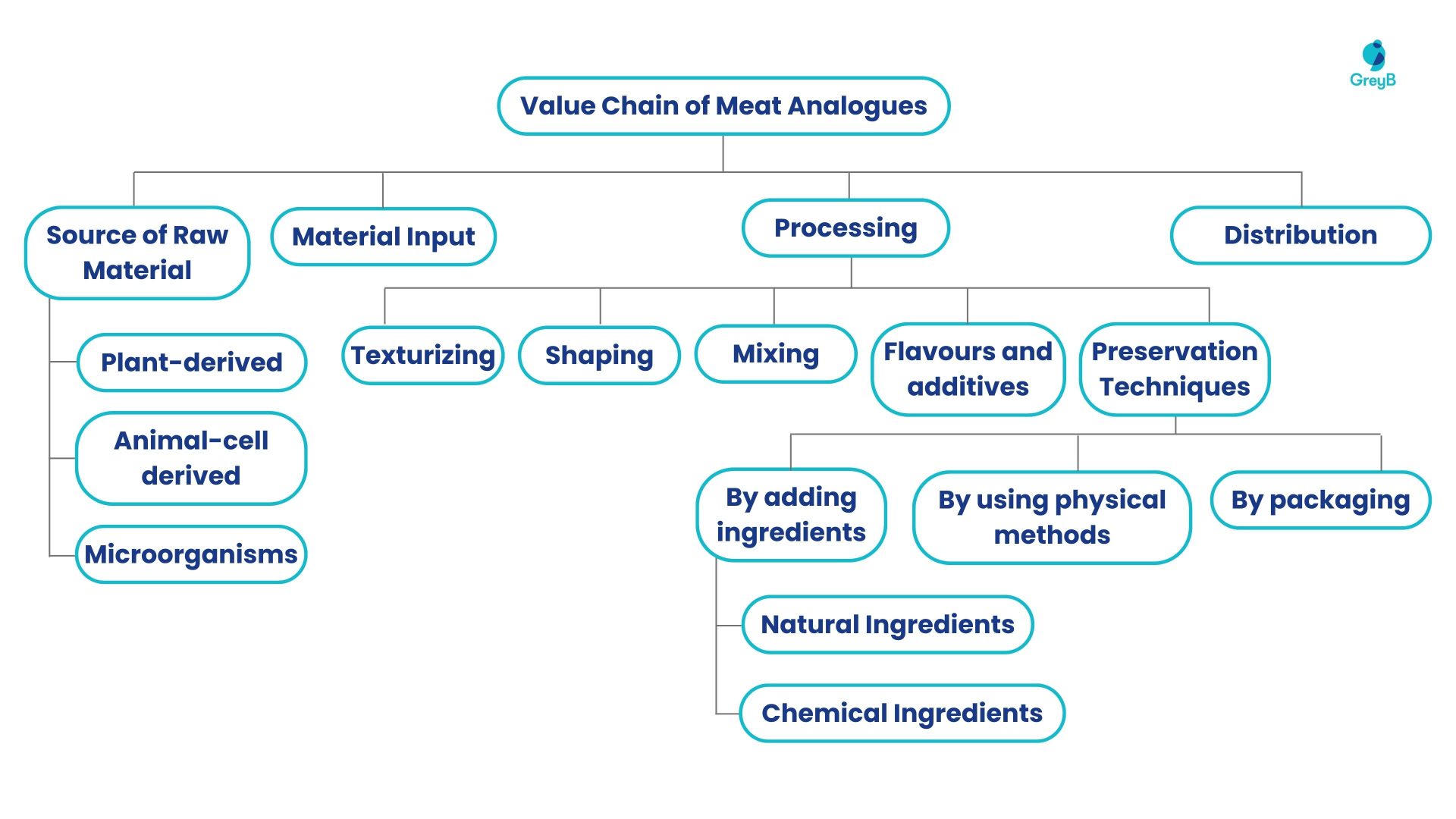 Complete Value chain of Meat analogs with focus areas