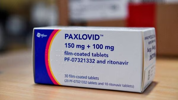 Paxlovid - Popular drugs by Pfizer