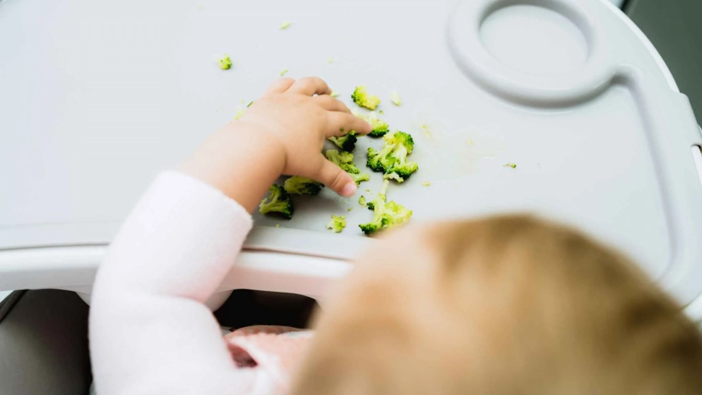 allergy-free-infant-food