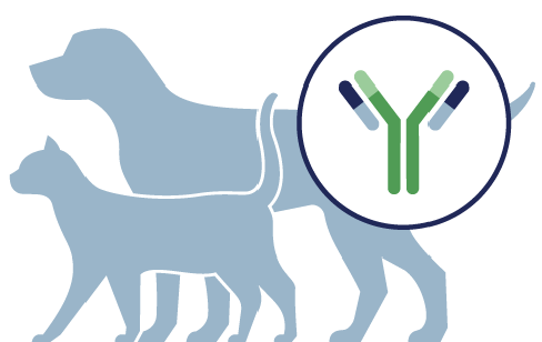 antibody-based-animal-products