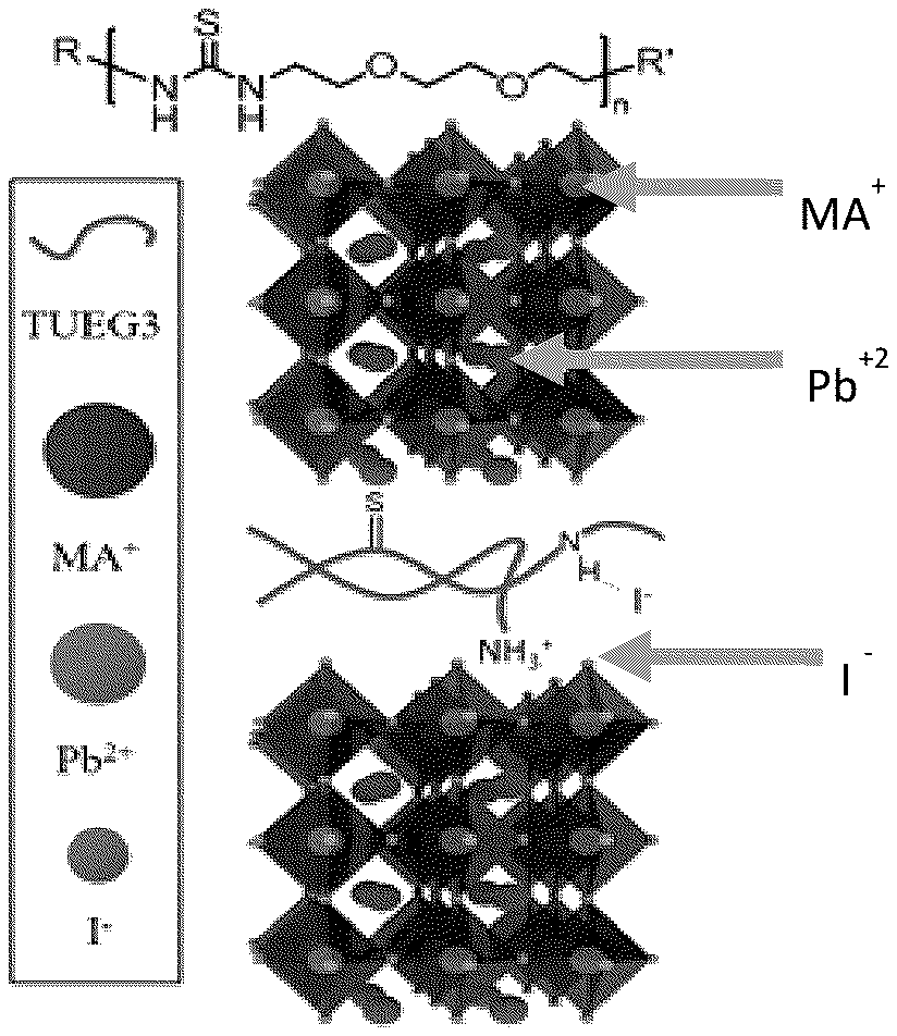 stable perovskite solar cells