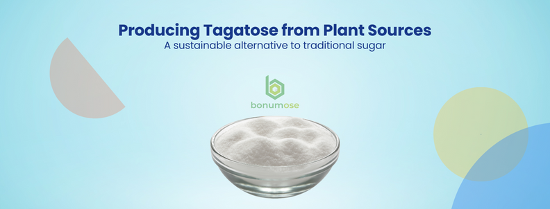Producing Tagatose from Plant Sources A sustainable alternative to traditional sugar