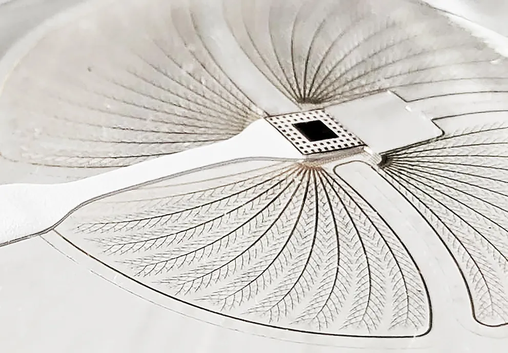 5 Implantable Bioelectronic Devices Startups Leading the industry - GreyB