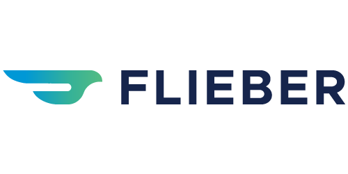 AI in logistics: Flieber