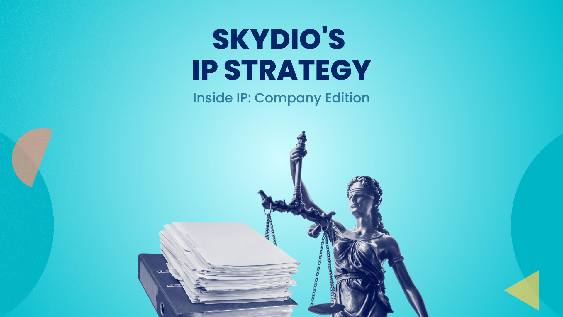 Skydio's IP Strategy