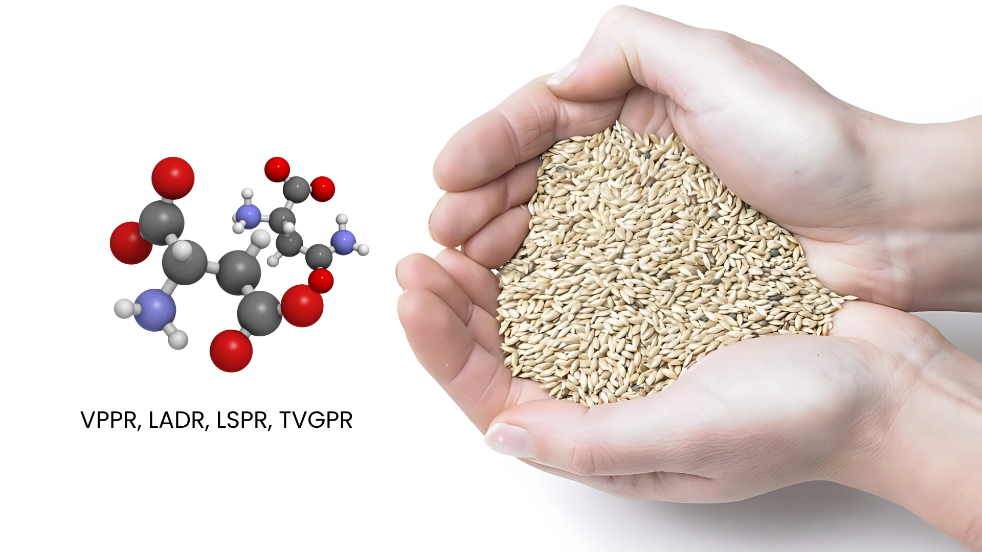 Purdue Research Foundation GLP 1 Innovation