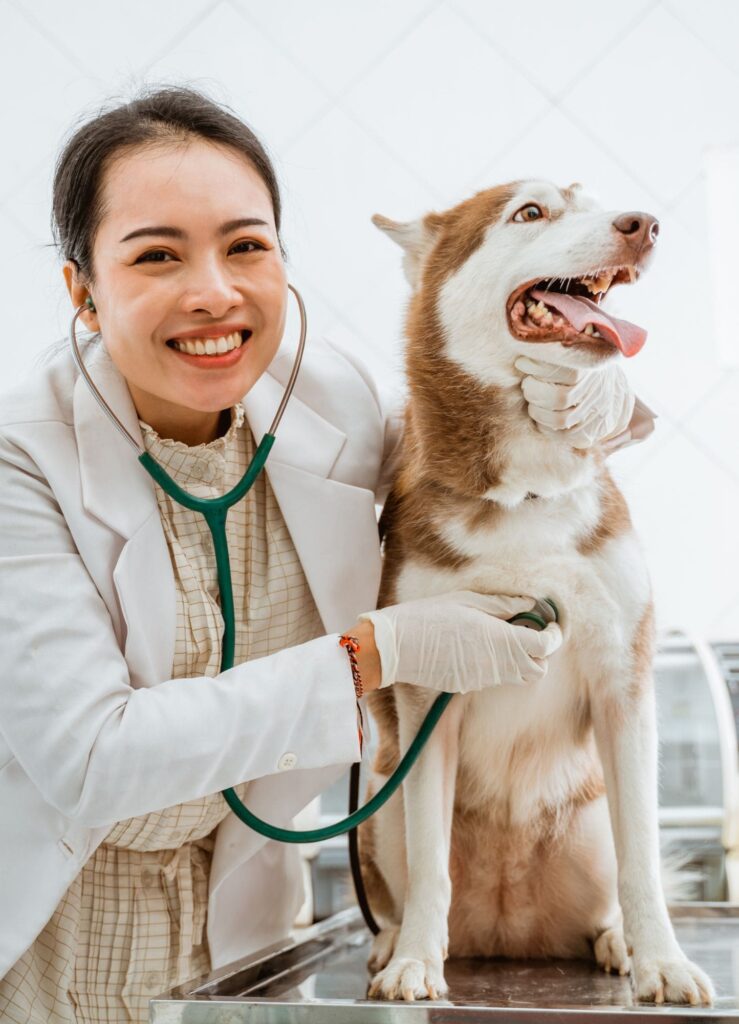 Animal Healthcare