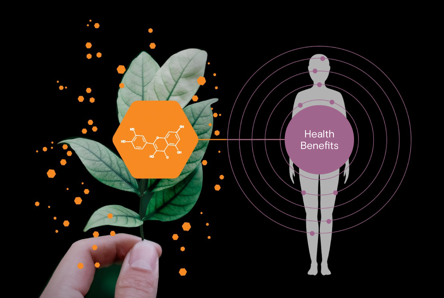 Food Trends: Brightseed's proprietary Forager® AI platform