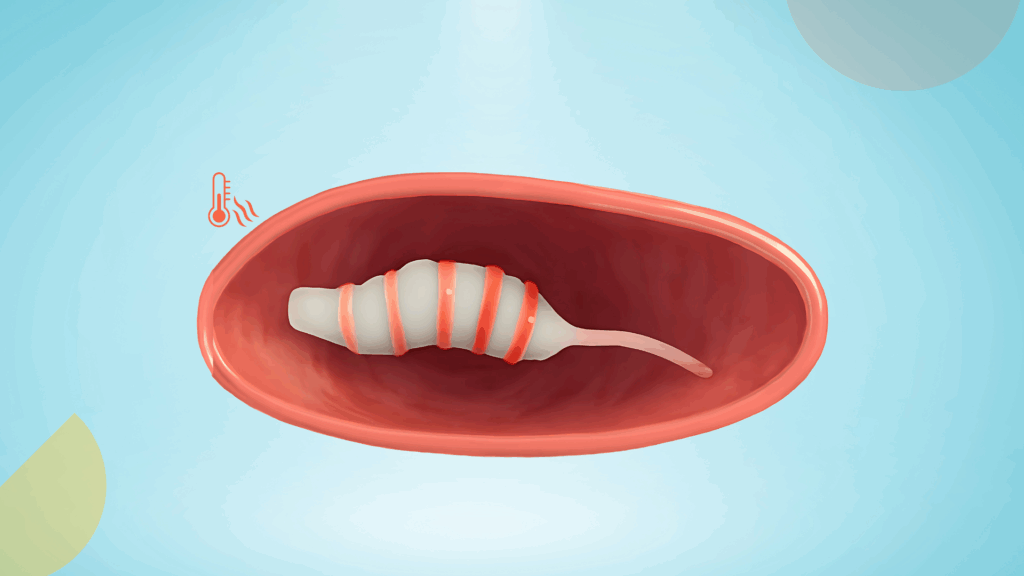 Drug delivery systems
