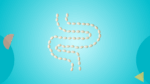 Microbiome gut health