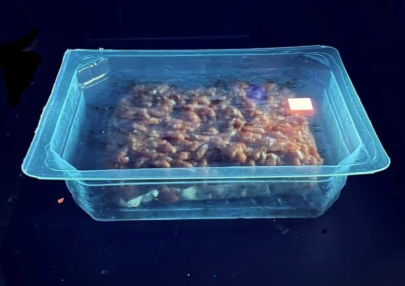 Printed Oxygen Sensor of Senoptica Technologies