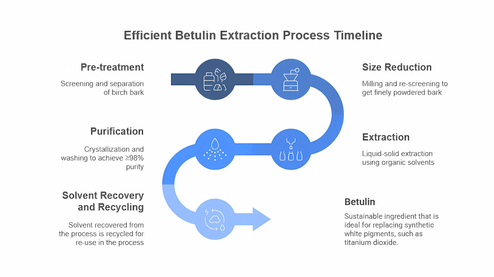 Schematic representation of an optimized betulin extraction process from birch bark