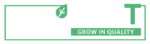 logo mint bianco e verde