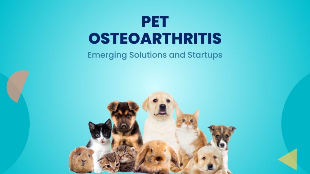 Pet Osteoarthritis