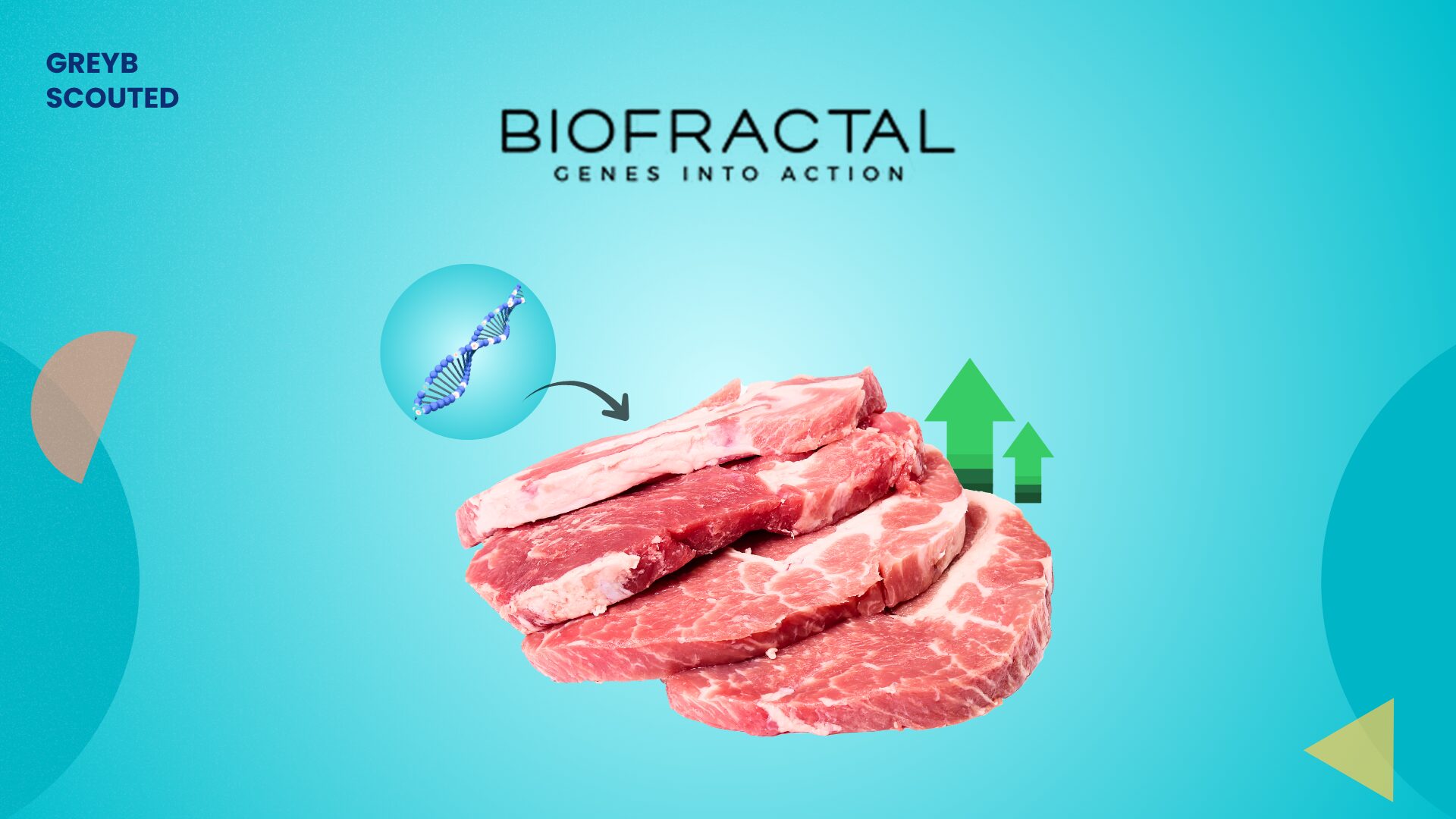 Biofractal Scouted Interview