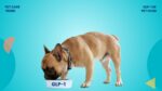 GLP 1 in Pet Food