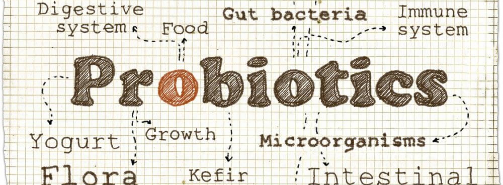Solutions to the Shelfstability Problem of Probiotics GreyB