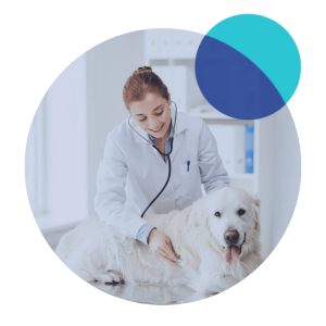 Animal Healthcare Animal Healthcare