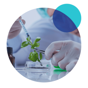Biotechnology Biotechnology
