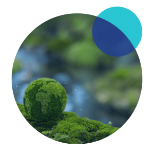 Carbon Neutrality and Negative Carbon Neutrality and Negative