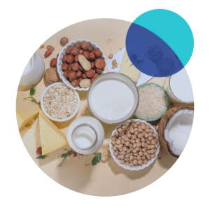 Plant based Dairy Plant based Dairy