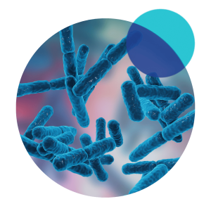 Pre & Probiotics Pre & Probiotics